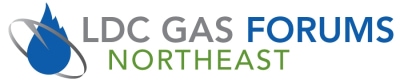LDC_NE_horiz.jpg