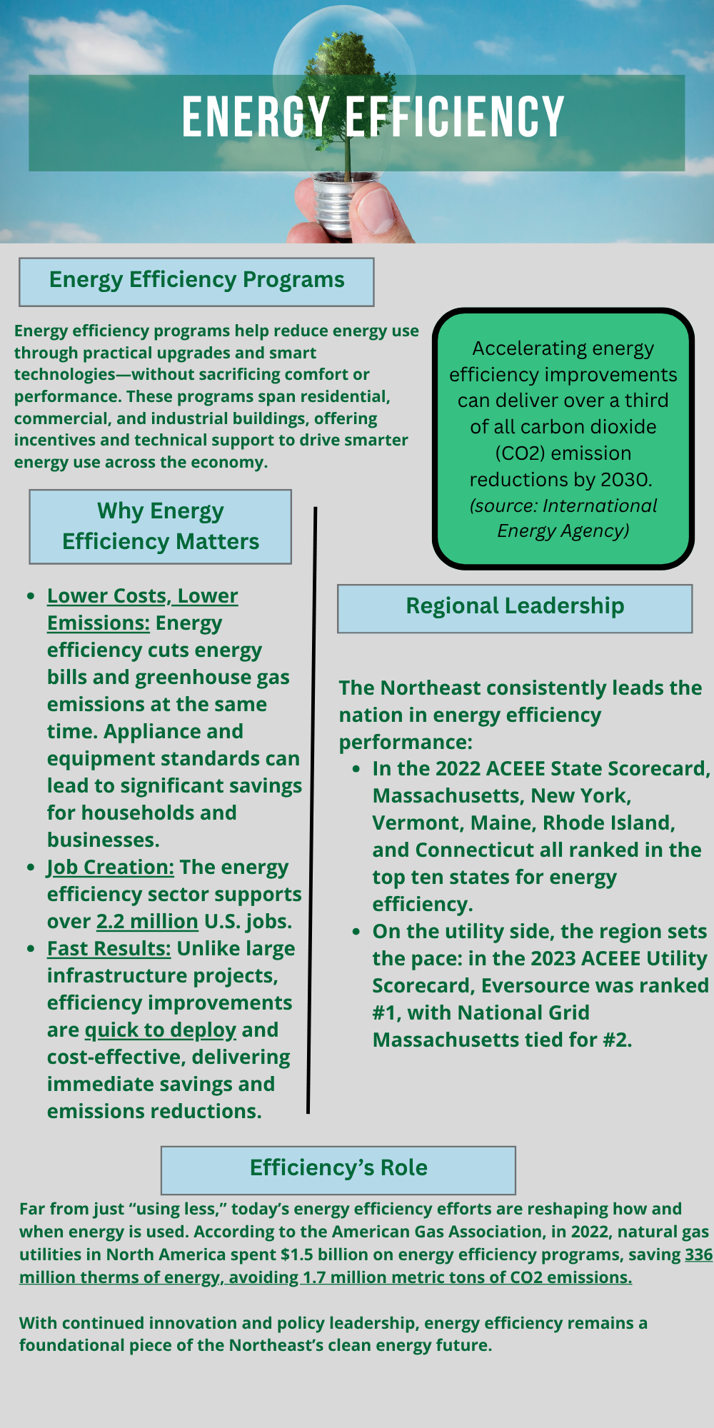Energy_Efficiency_one_pager.png