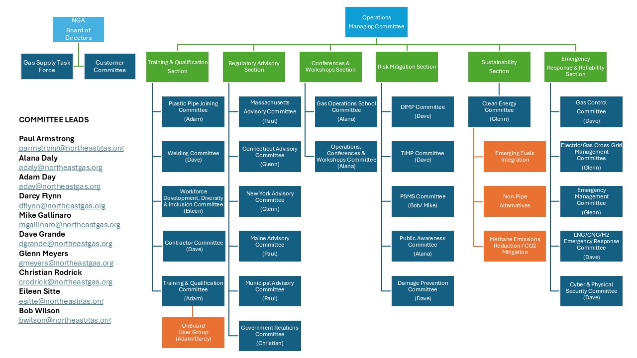 NGA_Committee_Structure_06_17_2025.jpg