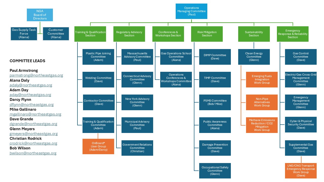 NGA_Committee_Structure_Approved_03_26_2026.jpg