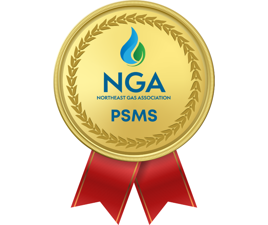Announcing the 2026 PSMS Excellence in Safety Recognition Program