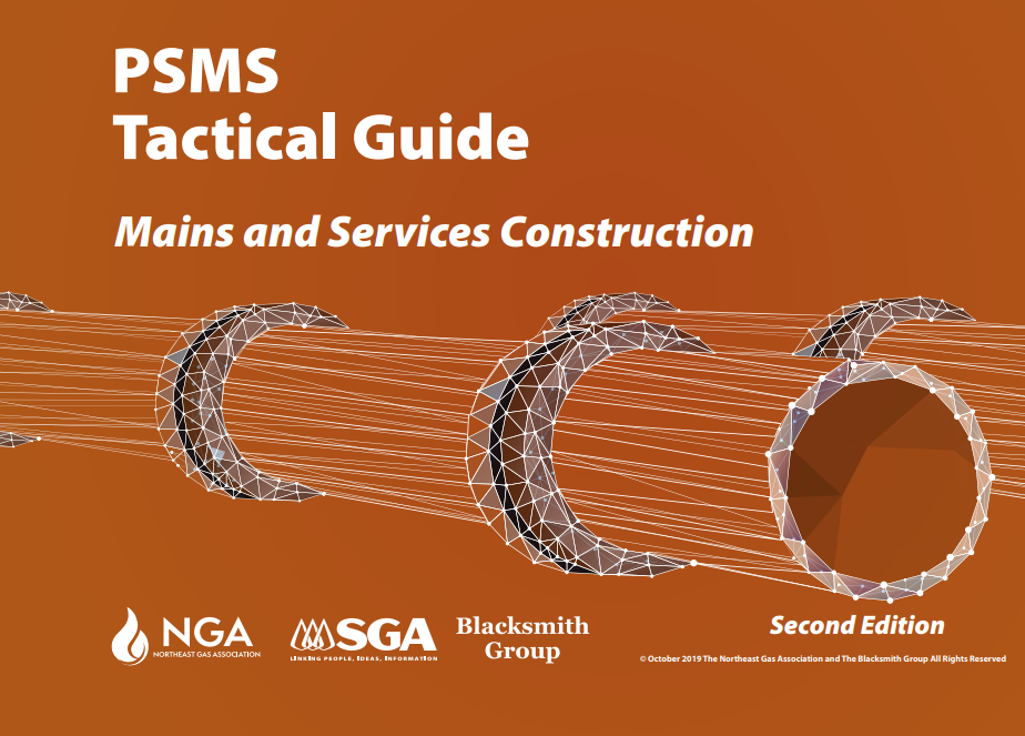 PSMS_Mains_and_Services_Tactical_Guide.png