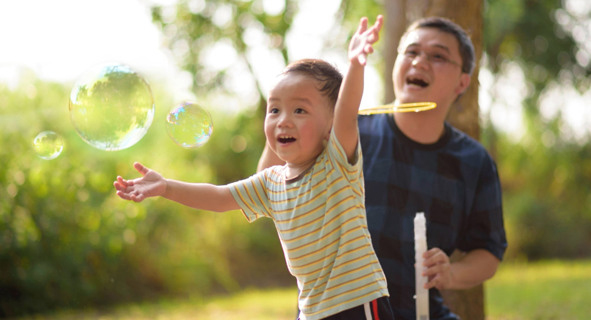 Fusce interdum neque facilisis accumsan placerat