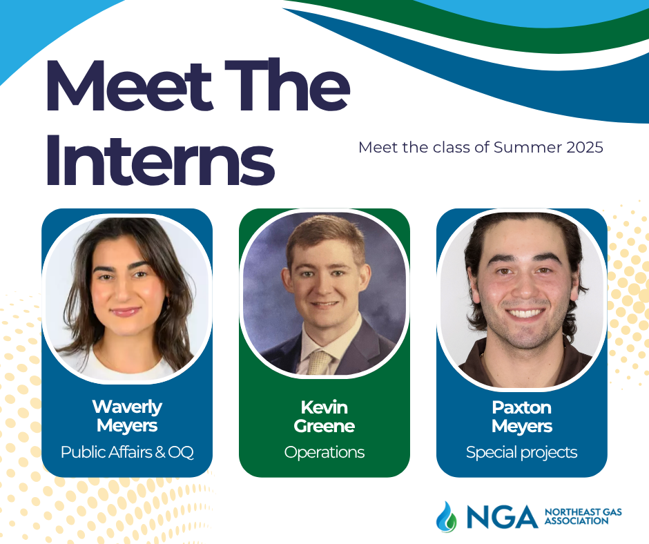 meet_the_interns.png